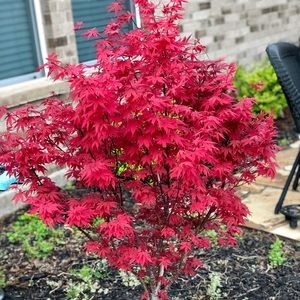 Meet your Posher, Jerry